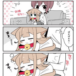 小倉さん家のきなこ　🐈１０4 / December 15th, 2024