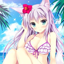 C88 / 狐っ娘カードスリーブ　2015summer / August 13th, 2015