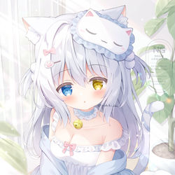 猫の日🐾 / February 22nd, 2026