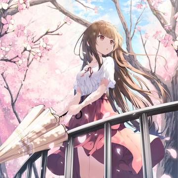 beautiful girl, girl, sakura / 桜