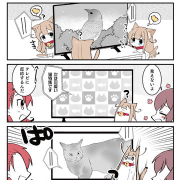 original, girl, Kinako (IyaPan) / 小倉さん家のきなこ　🐈２０