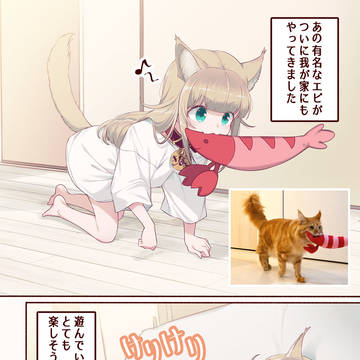 original, girl, My Cat is a Cute Girl / エビときなこ🐈🐾