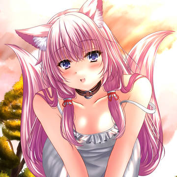 summer, original, animal ears / 夏の山林