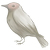 ここにこ's avatar