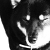 LOWRISE's avatar