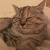 JhSD's avatar