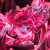 くろじょー's avatar