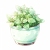廿日's avatar