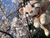 稲猫's avatar